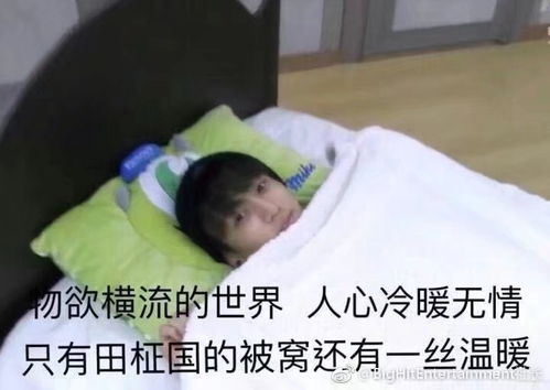 万恶之源表情包出处田柾国篇2
