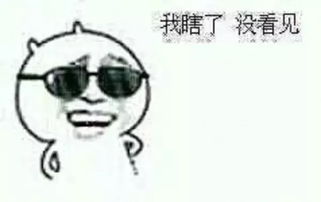 锤子t3全部曝光,老罗的情怀都败光了