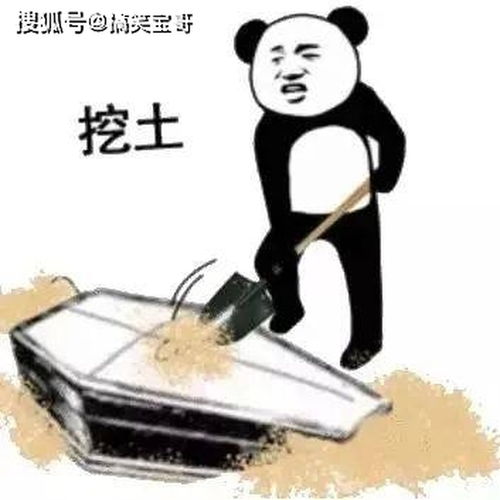 掀被子表情包表情包