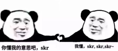 热门表情包今天skr好日子