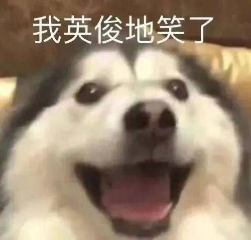 汽车补贴放宽地域户籍限制丰田将在日本停售凯美瑞丨一周车评