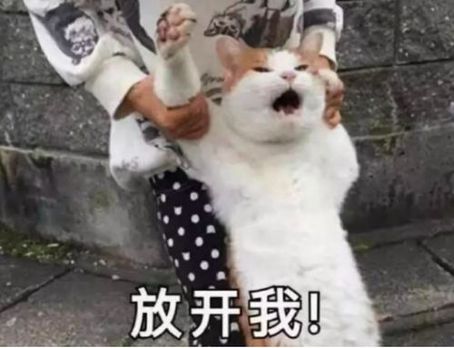 这个特殊的五一能自驾出游吗打开看超详细的安全攻略