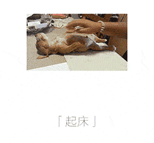 单位各部门领导表情大全,笑晕了