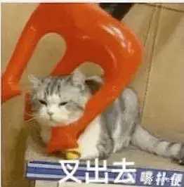 和办公室嘴欠同事天天对线