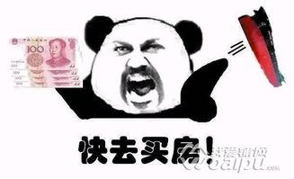 揭棺而起全套表情包新闻人