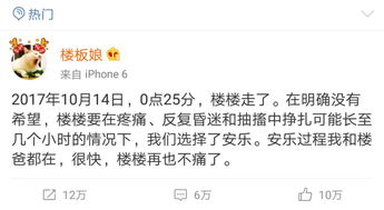 网红猫楼楼去世,我们的表情包回喵星球了