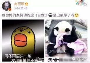 蔡依林的怼人周冬雨的凝视......明星用起表情包也是6到飞起