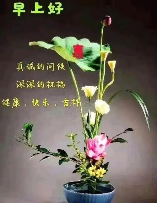 早上最新经典问候图12