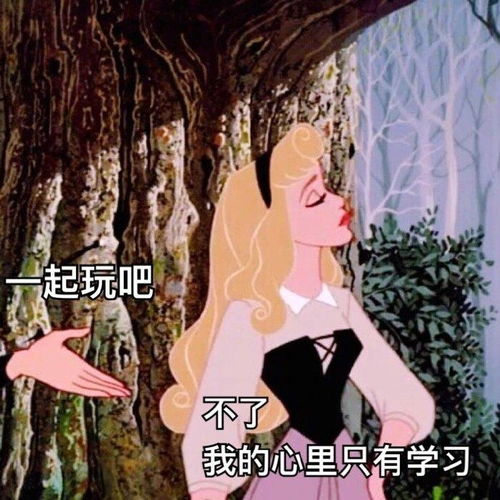 有什么关于考试复习的表情包