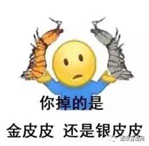 整个朋友圈都在骑皮皮虾它很累了你知道吗