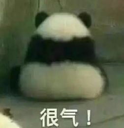 大熊猫被脱裤子照网络爆红熊猫我不要面子啊