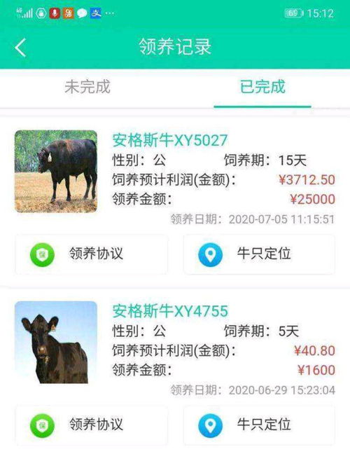 最近流行网络养猫赚钱,然而有人却因云养殖被骗了不少钱