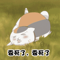 麻烦问一下这只猫叫什么