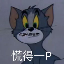 暗恋的男神找我聊天,竟然是为了偷我表情包