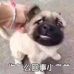 你不行啊小老弟表情包闭嘴