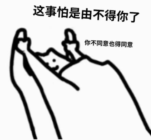 理不直气也壮的表情包