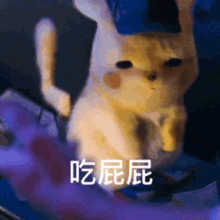 皮卡丘表情包天呐真人皮卡丘太可爱了,嫌弃的人怎么想的