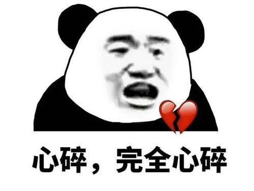 二选一表情包表情