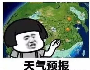 天选福星表情包福星