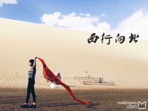 西北游记