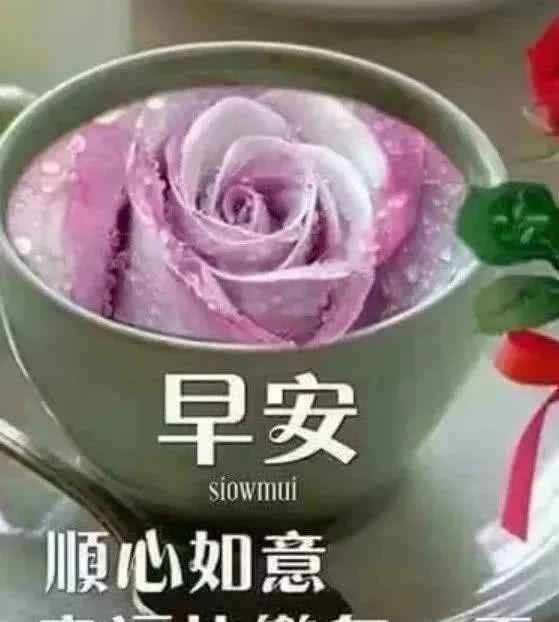 新的一周早上好问候语句子和图片中老年人早晨祝福表情包