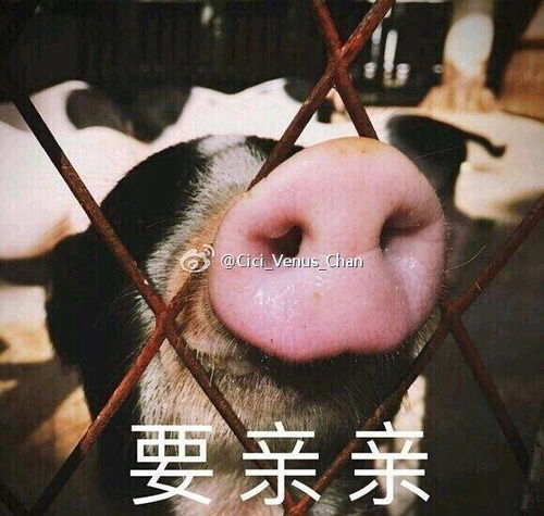 我的收藏