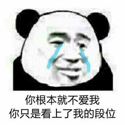 不要不要的表情包搞笑没有你