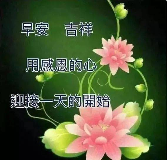 3月4日超漂亮早上好表情图片带鲜花2021最新版早上好动态表情图片