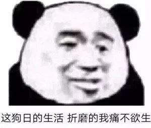 脑阔疼表情包农村