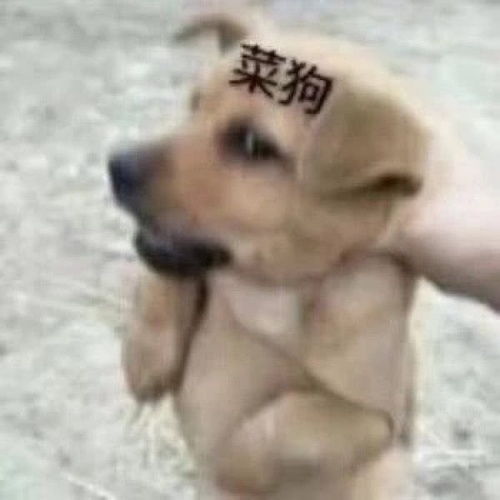 我的收藏