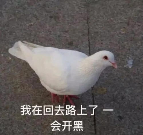 表情包找到我的快乐星球了