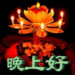 2018最新最全表情包,真漂亮送给群里每一位朋友