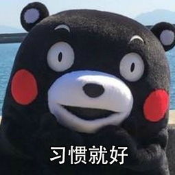 熊本熊安慰人表情包下载安慰人表情包熊本熊高清完整版下载