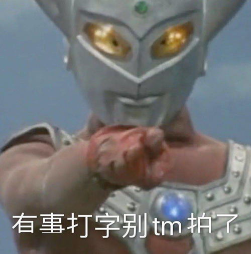 别拍我了