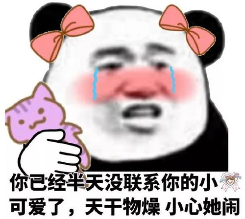学会了污喵王的这个技能,剩下的就只剩撩了