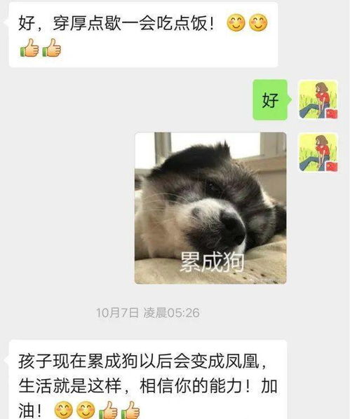 您已经被父母移出群聊