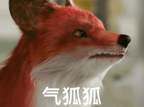 万万没想到,我竟爱上了一只狐狸