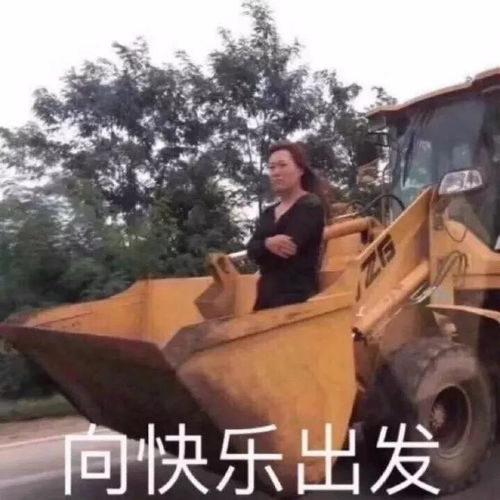 有哪些硬核跨年表情包