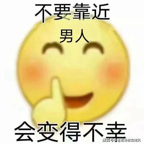 动态表情包聊天王思聪