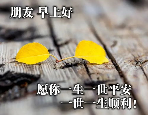 2021最美早安问候祝福动态表情图片最新漂亮冬季美女早上好动画表情包