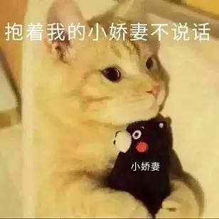 可能是史上最全的毕业论文答辩套路