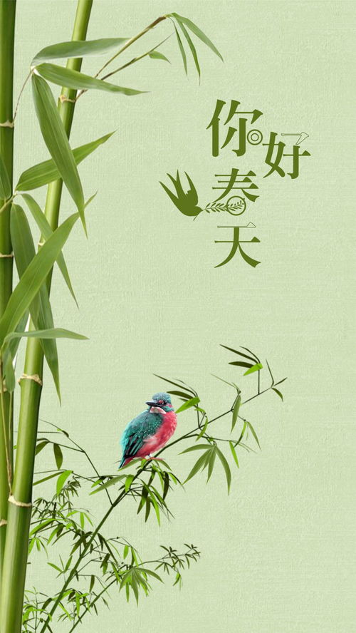春天你好清新竹子插画