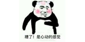翡翠百问百答课堂第一期领略玉石文化风情,专业角度带你识翡翠