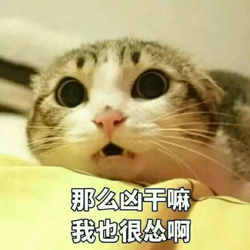 2017火遍成都的10家网红店,只有1的人全吃过