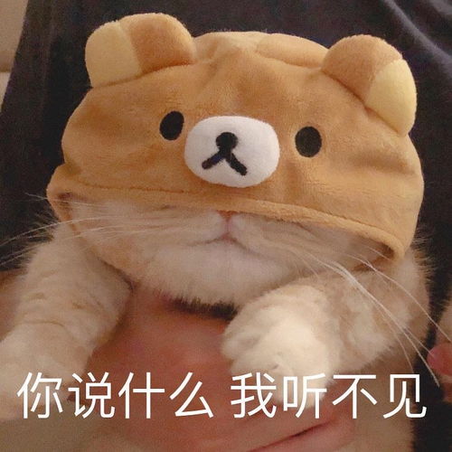 因为外卖小哥太帅忽略了他,把所有外卖员都问了一...