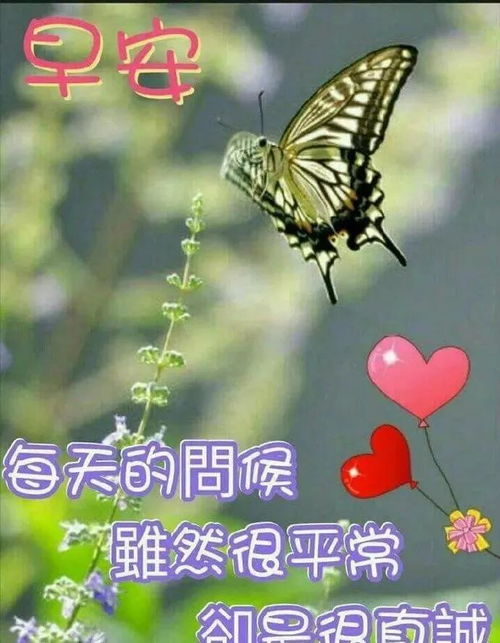 女神早上好表情包早上好