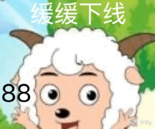 请问玫斯猫粮怎么样