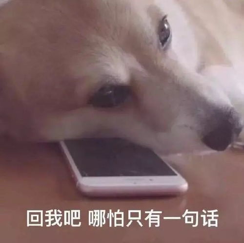 这是一份来自西苑最新的奶茶测试题