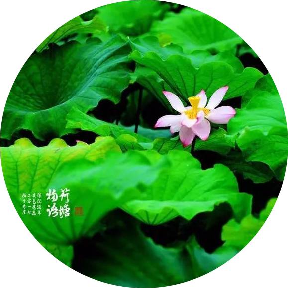 心静自然凉,在古诗文中寻找避暑良方