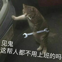 惊厦门一壮年男子干活时突然失忆他的这个坏习惯很多人都有